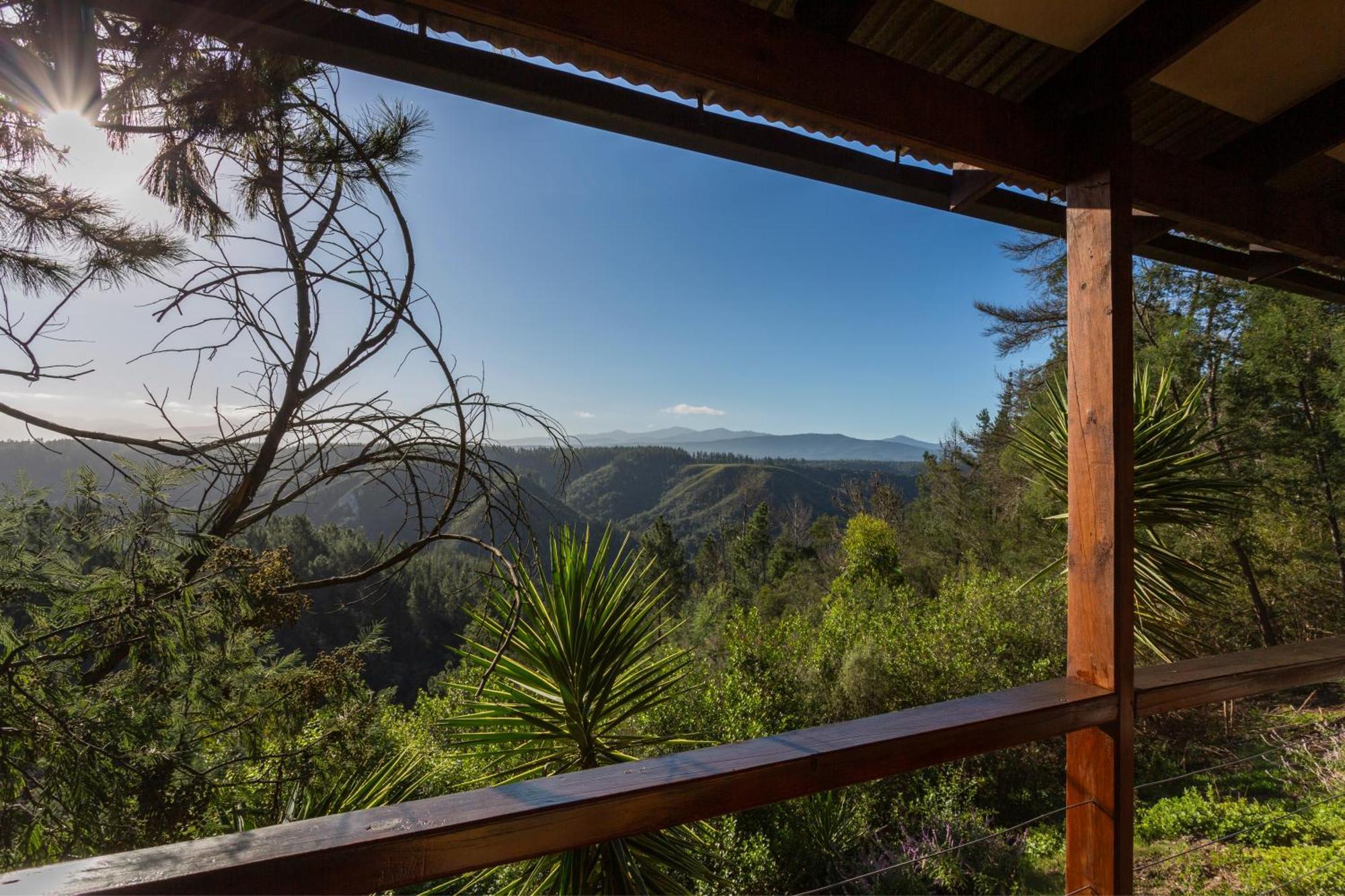 Forest Valley Cottages Knysna Esterno foto